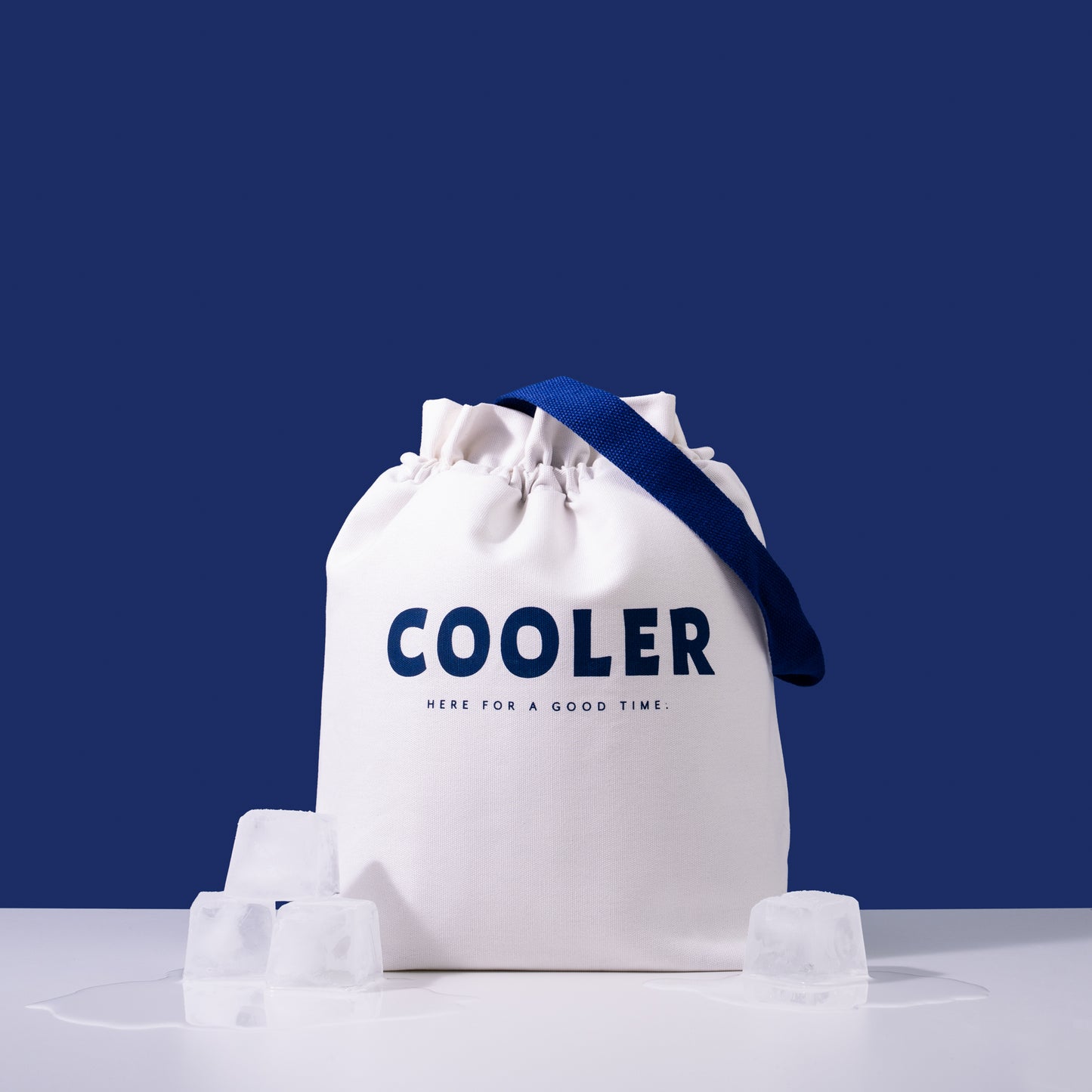 The OG Cooler - Coolers and Insulated Bags