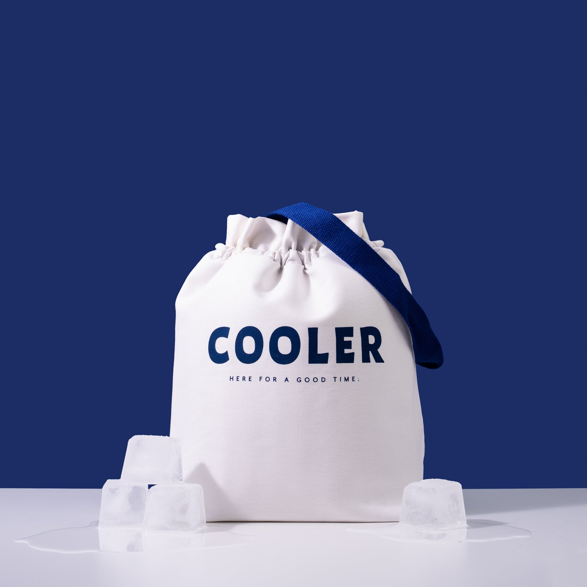 Coolers & insulated sale bags